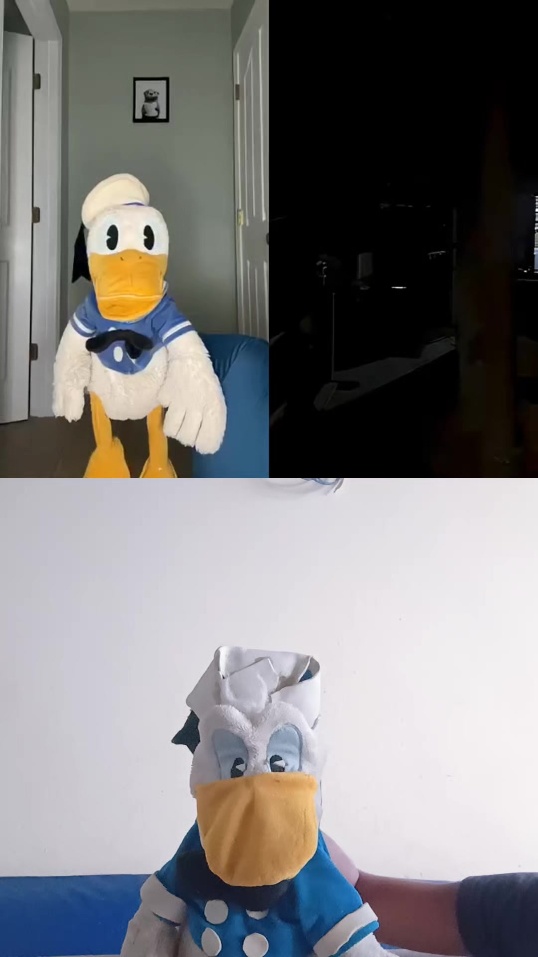 @donald duck mickey Goofy