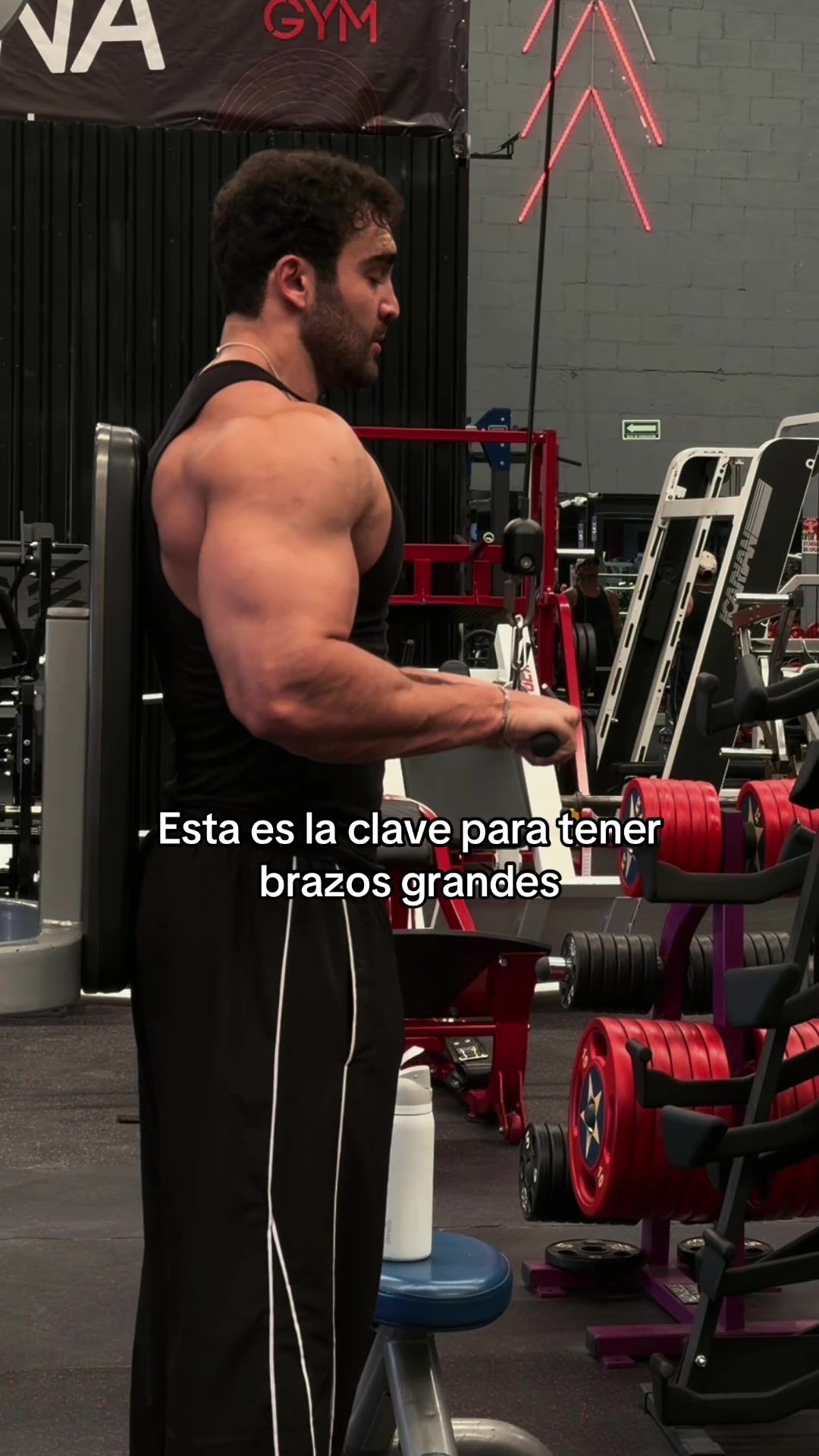 @marco