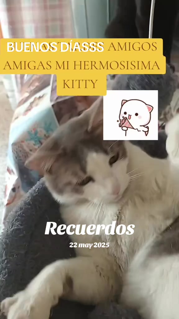 @minyna102