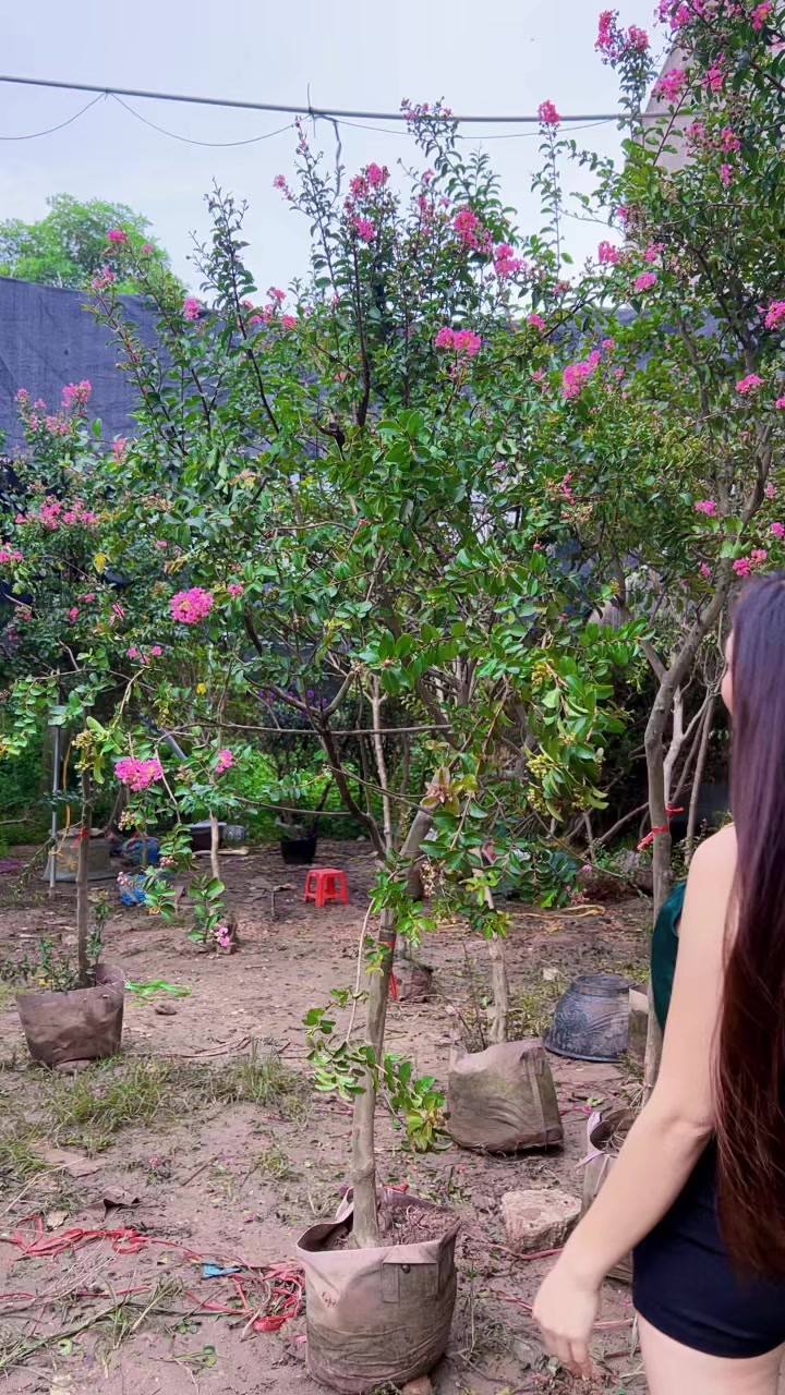 @Khổng La