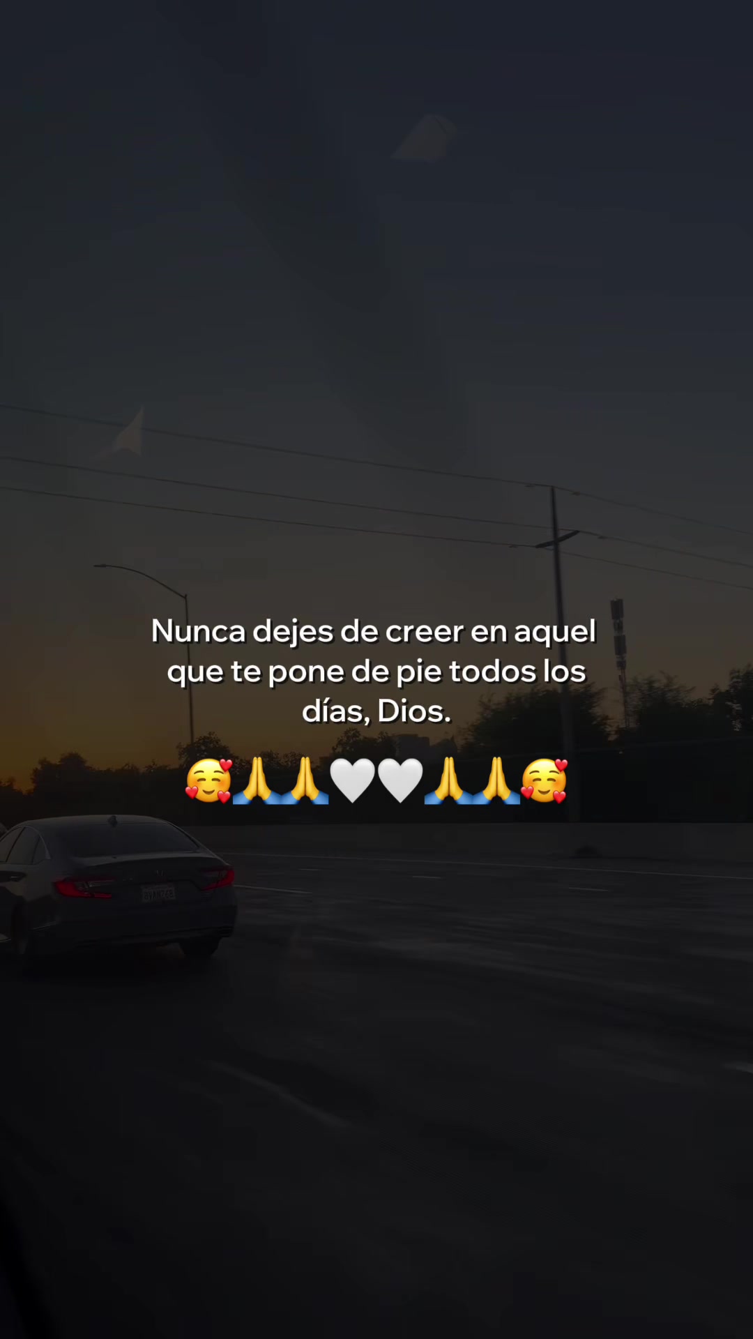 @Leticia Castanon