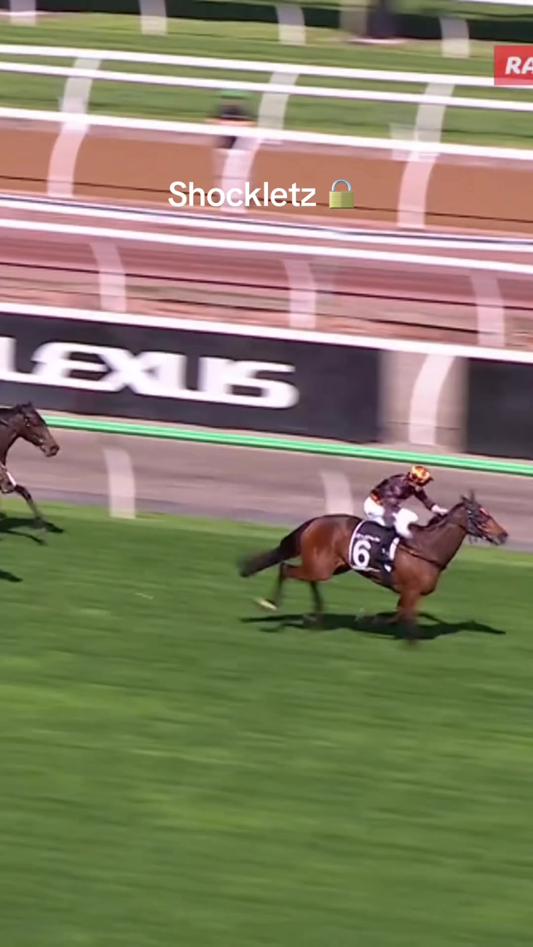 @VRC || Horse Racing