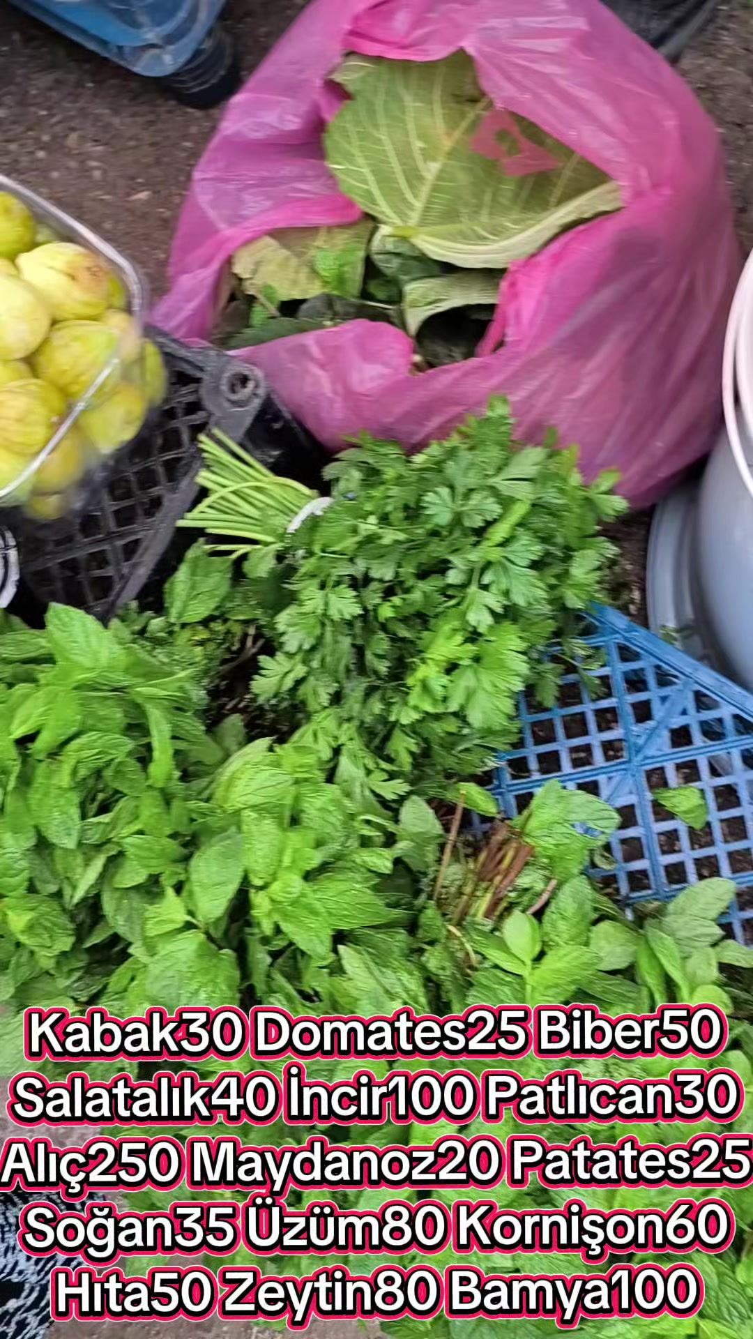 @Kırıkhan Sakinleri