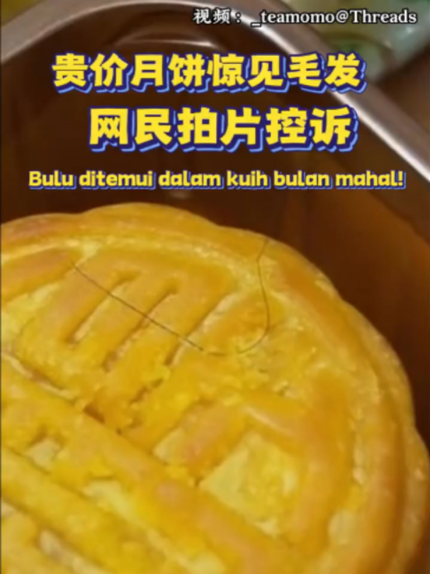 @中国报