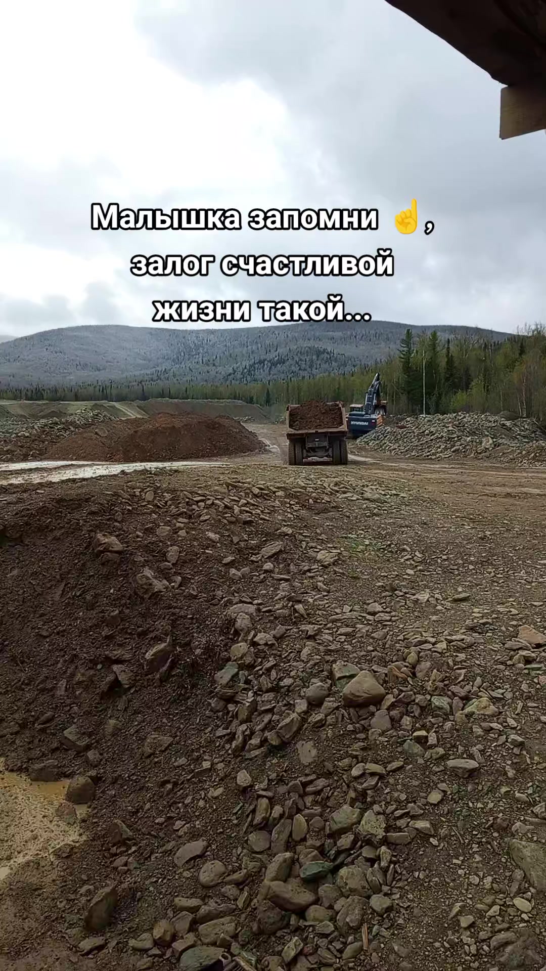 @Мой котик