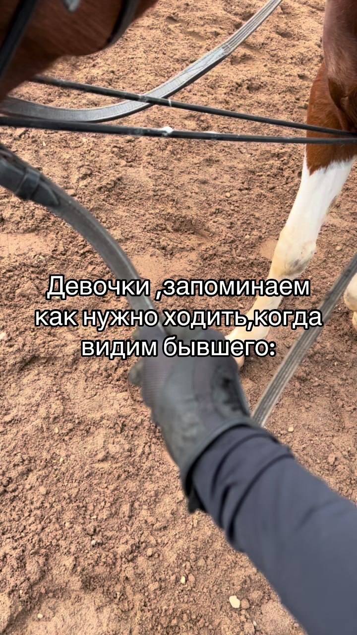 @Ли🐴