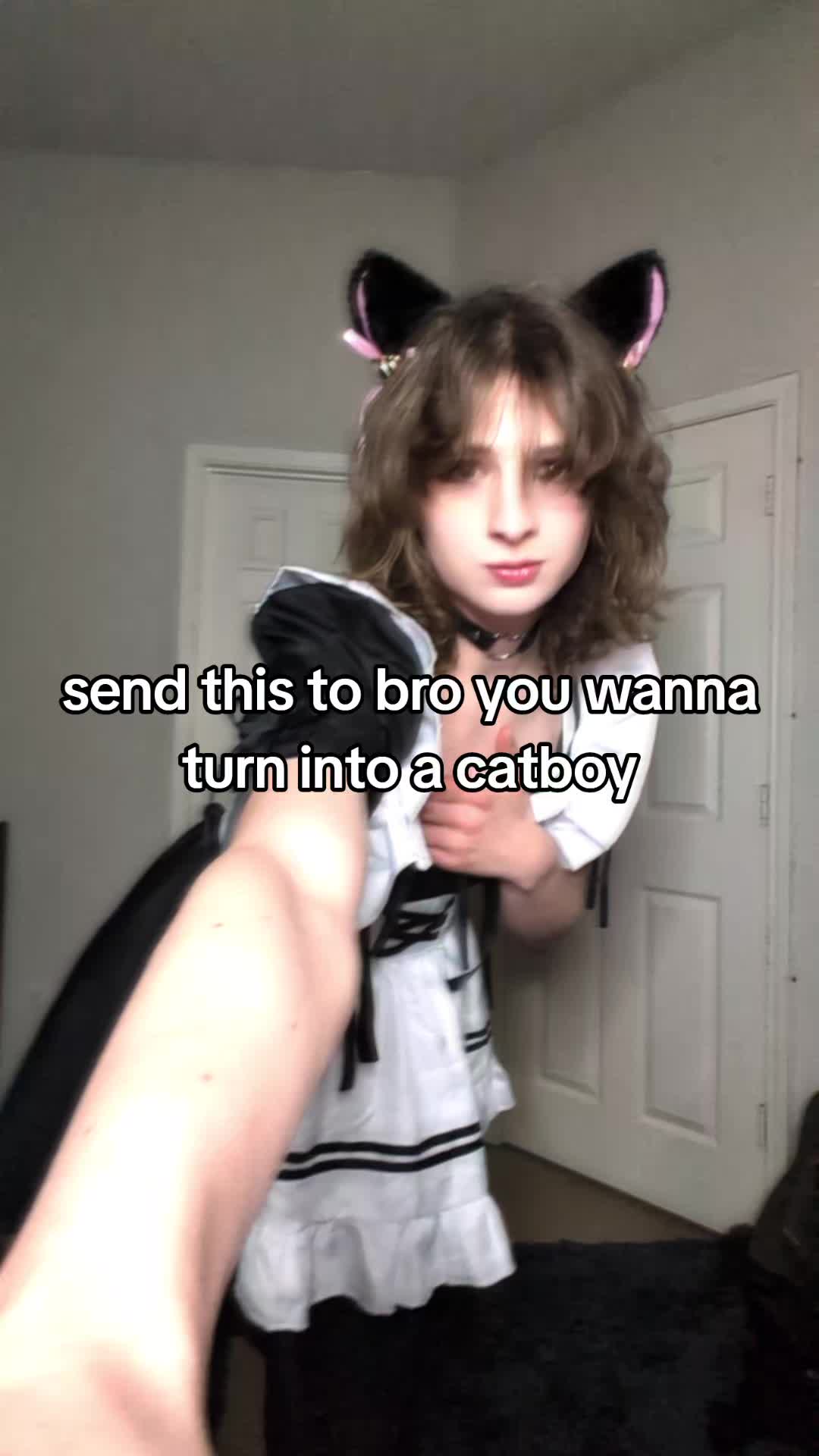 @ElysianFemboy