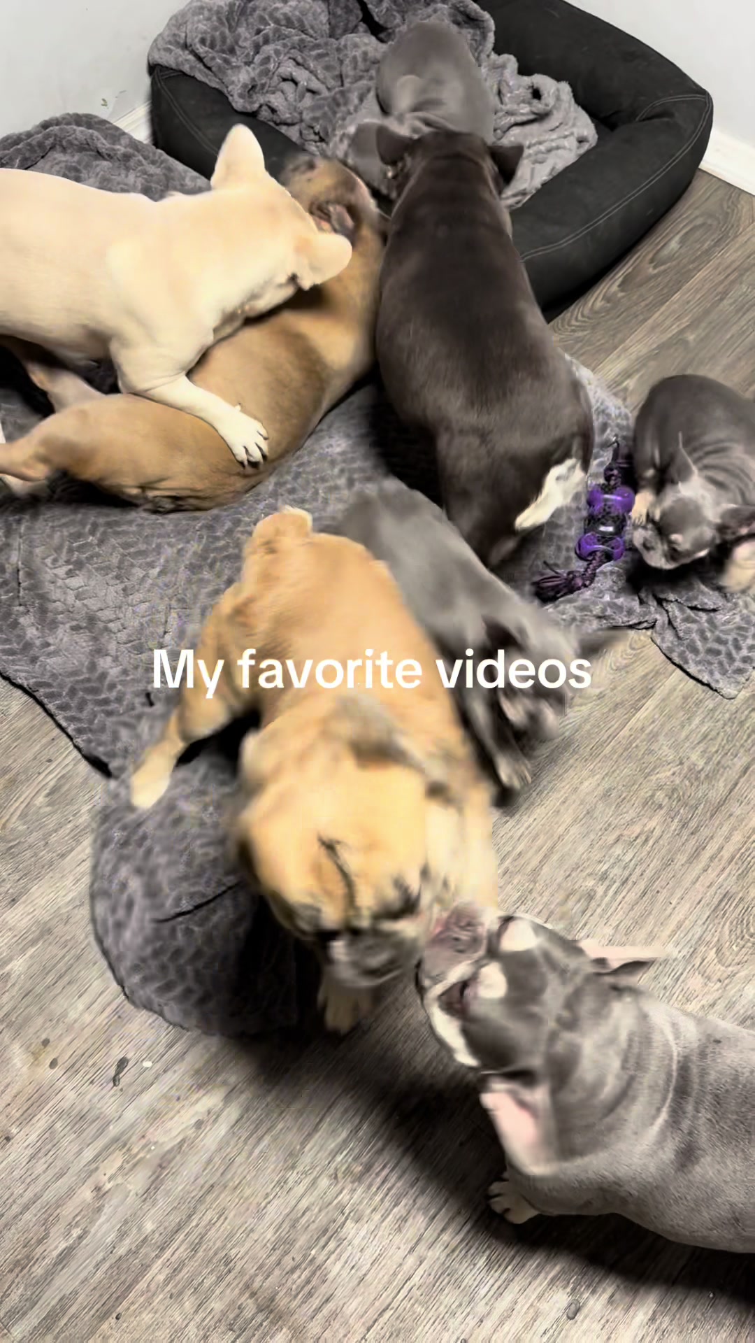 @my favorite videos