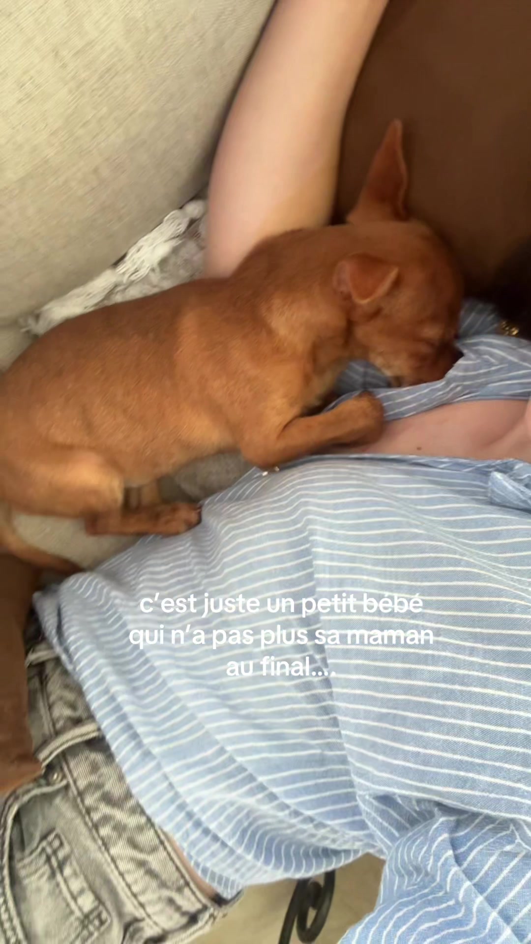 @léa