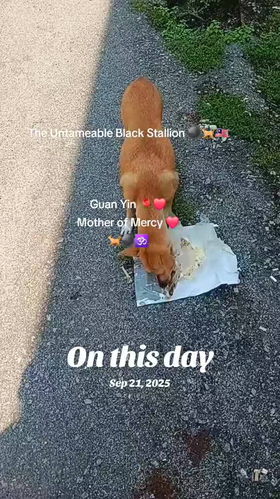 @Alan - Garbage Collector
