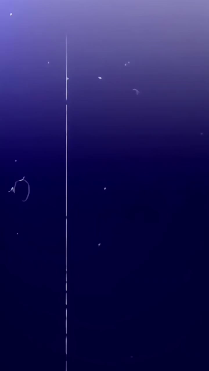 @𝐃𝐚𝐧𝐥𝐨𝐯𝐞𝐫𝐬🐿