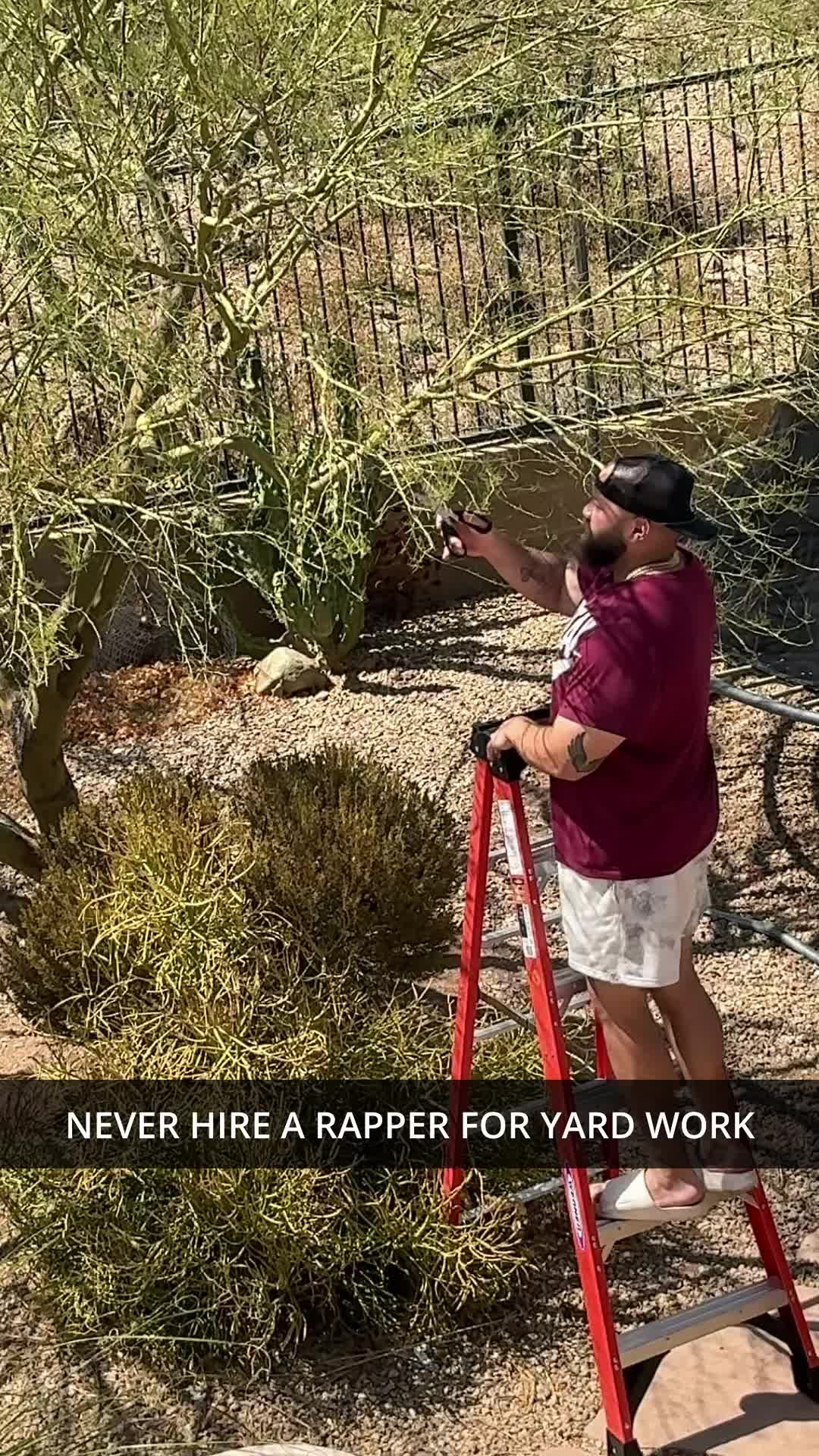 @Daddyphatsnaps