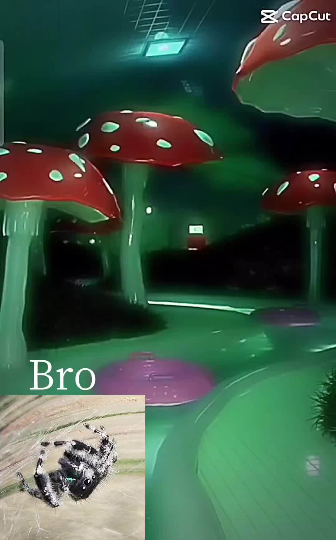 @yur- nope 12344