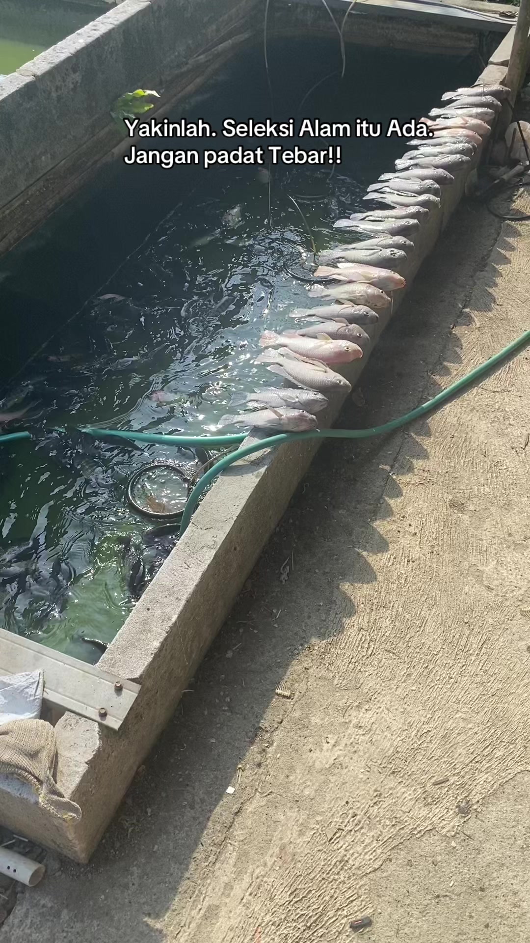 @NAMI TOKOKU