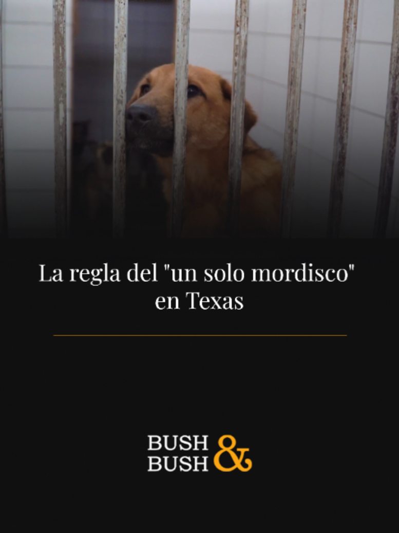@bushlawgrp