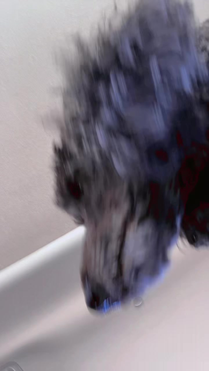 @⋆౨ৎ˚⟡{𝓚𝓪𝓷𝓪𝔂𝓪}.ᐟ⋆˚࿔