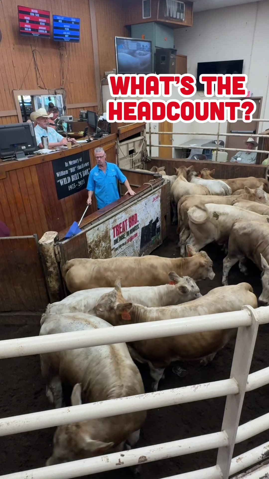 @Cattlemen&rsquo;s Livestock Market