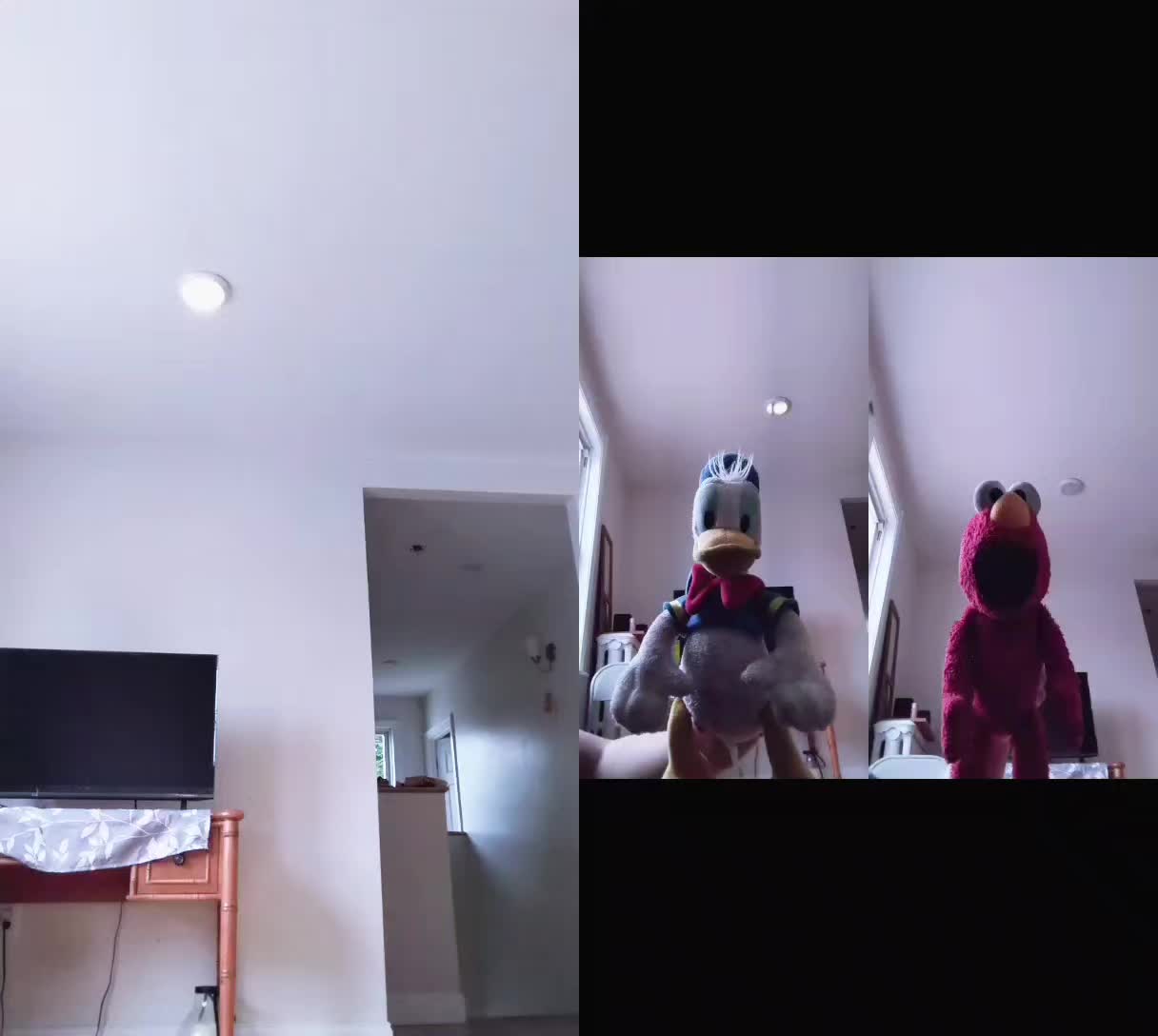 @Kermit The Frog Tiktok