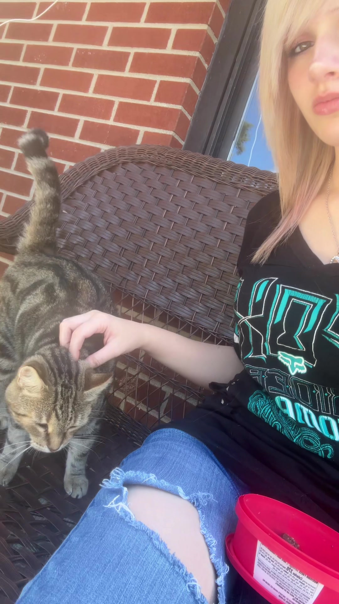 @kitti🐾