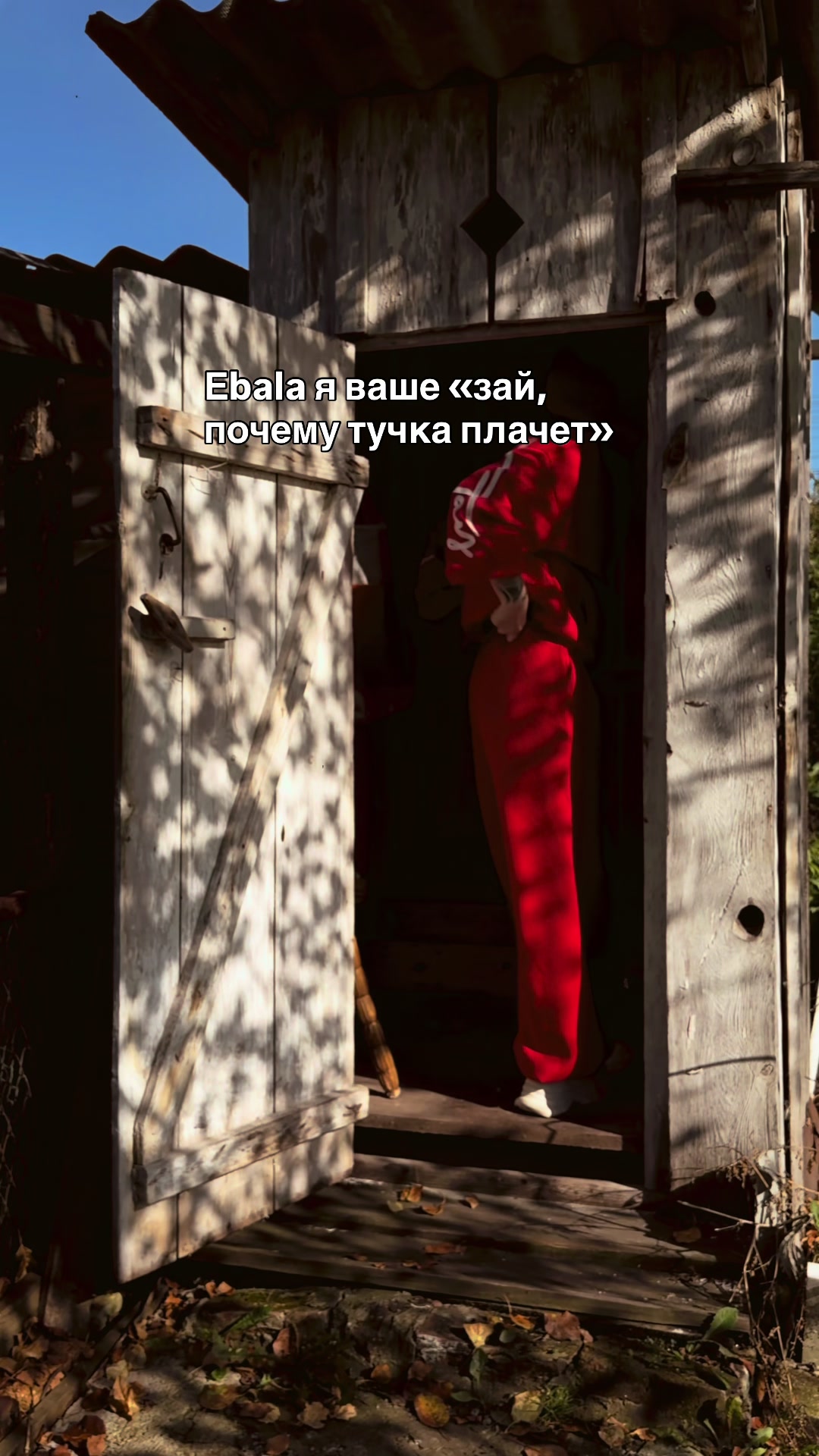 @Anlina_W