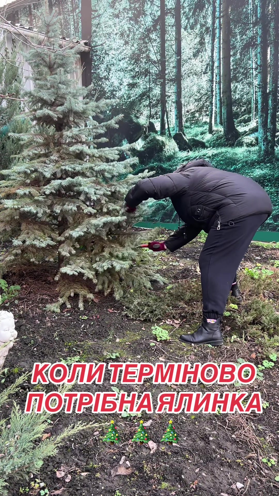 @Настя Гречка 🇬🇷