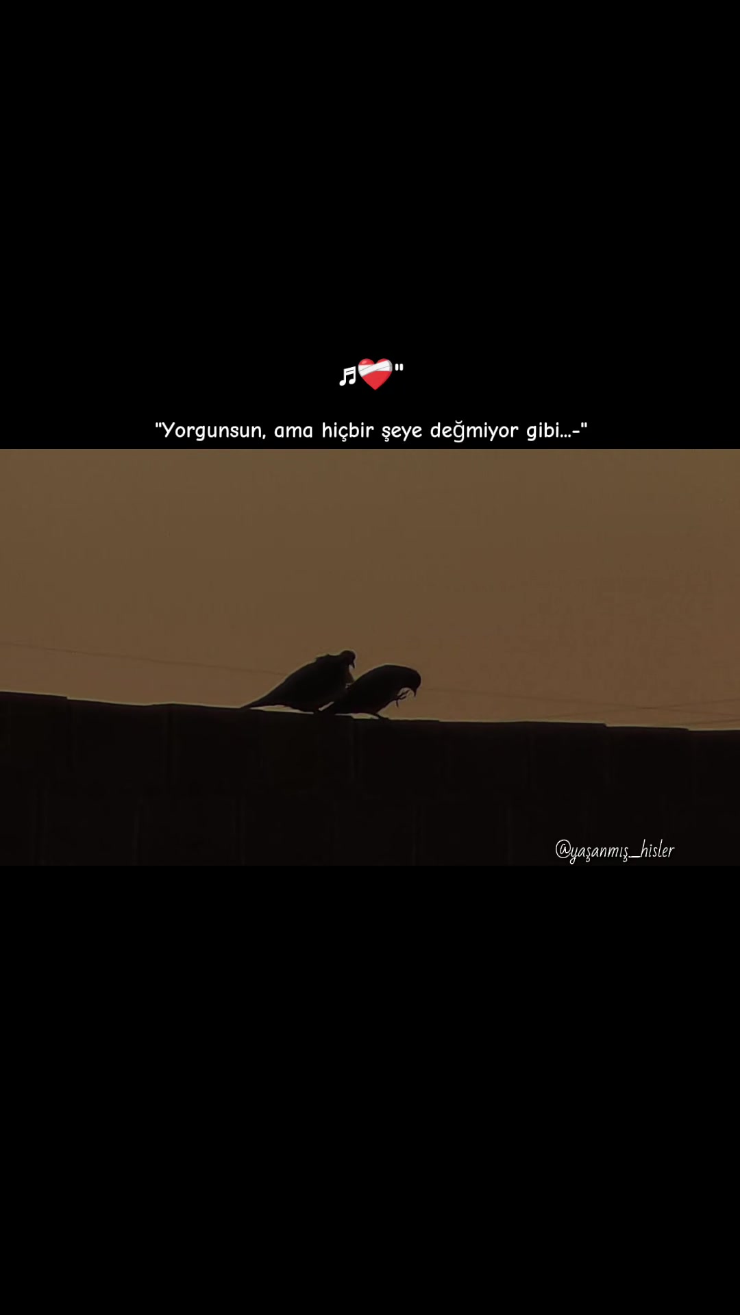 @•ʏᴀꜱ̧ᴀɴᴍɪꜱ̧ ʜɪ̇ꜱʟᴇʀ•