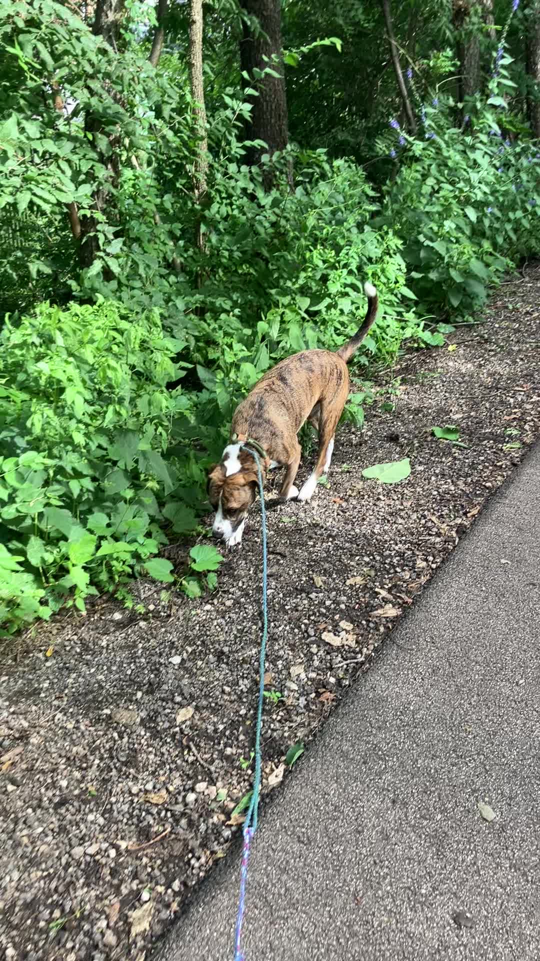 @Hikingwithstanley