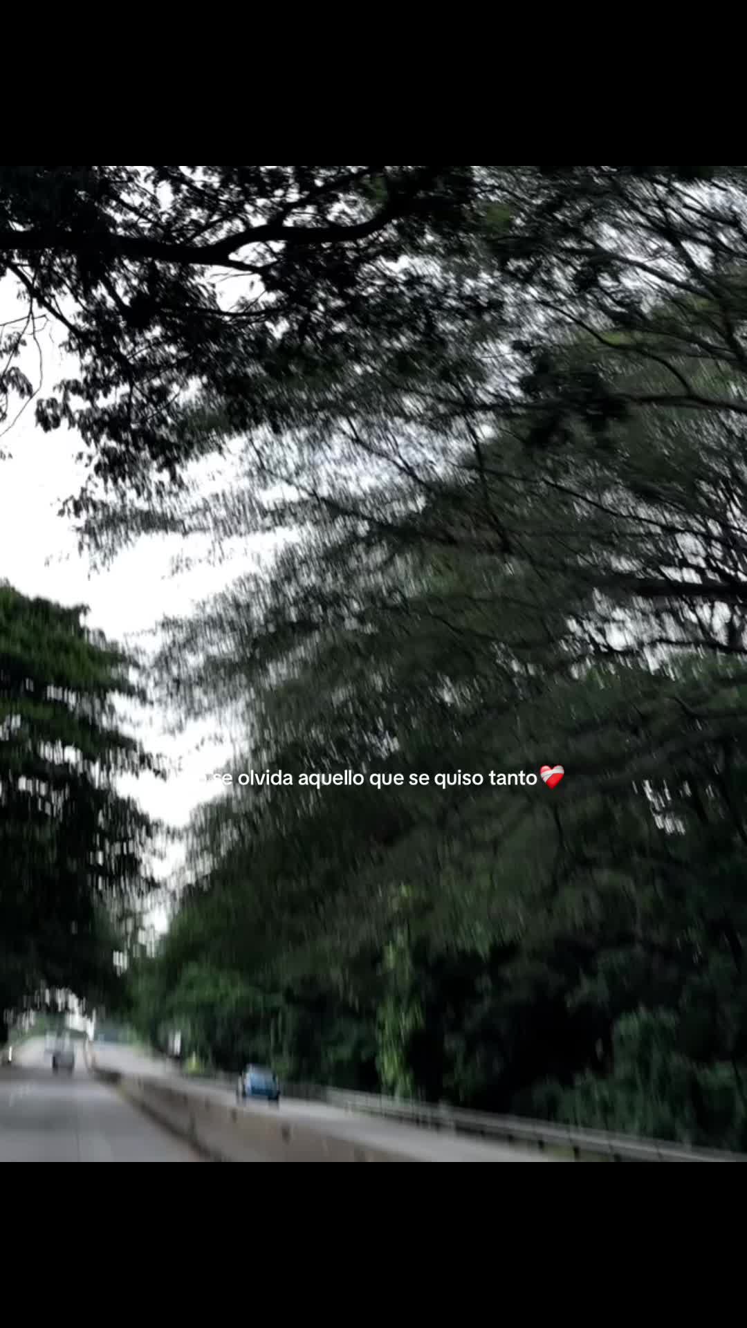 @𝔱𝔦𝔪𝔶