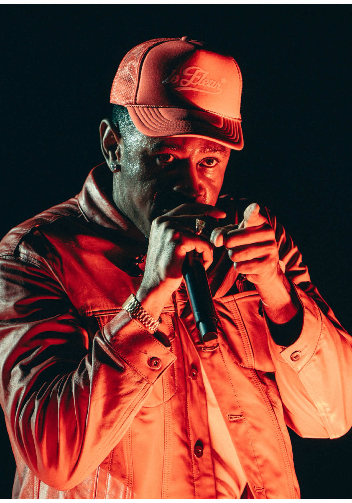 @lollapaloozaar