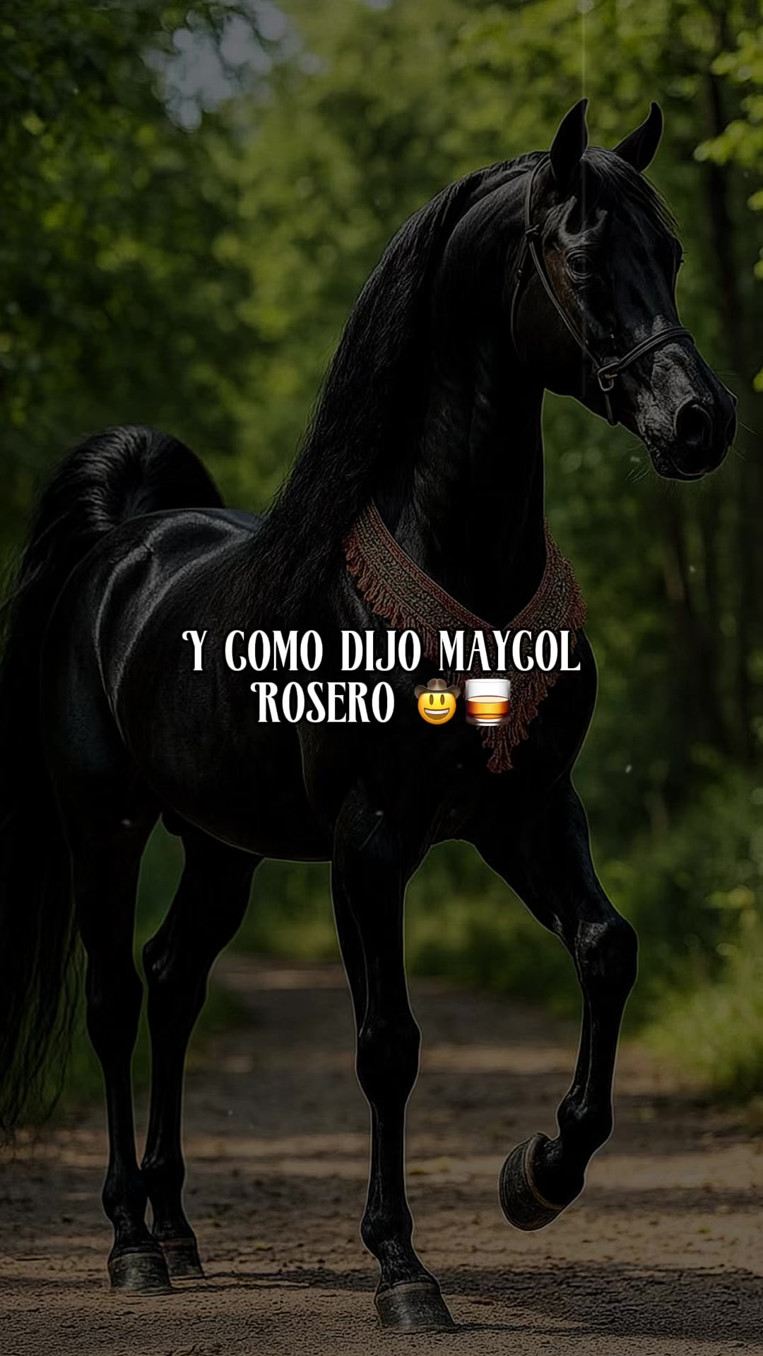 @Music_lyr