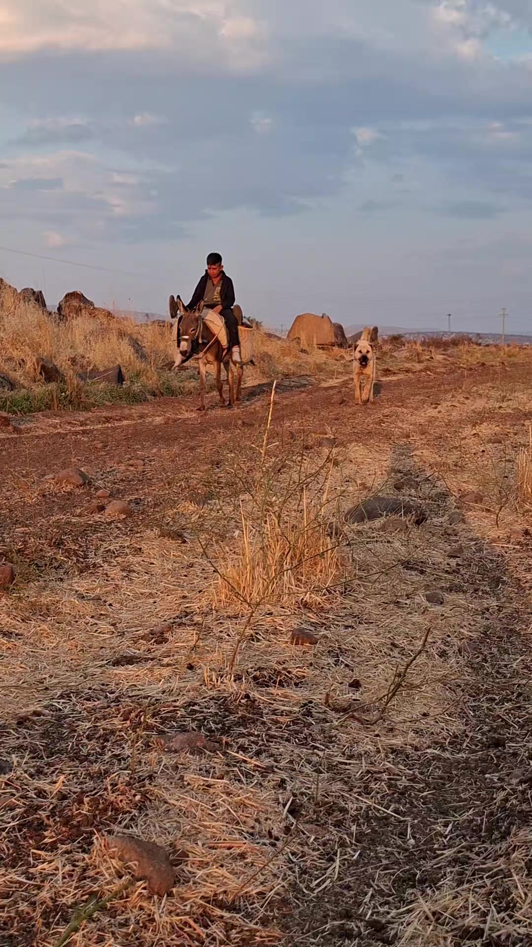@ali çınar