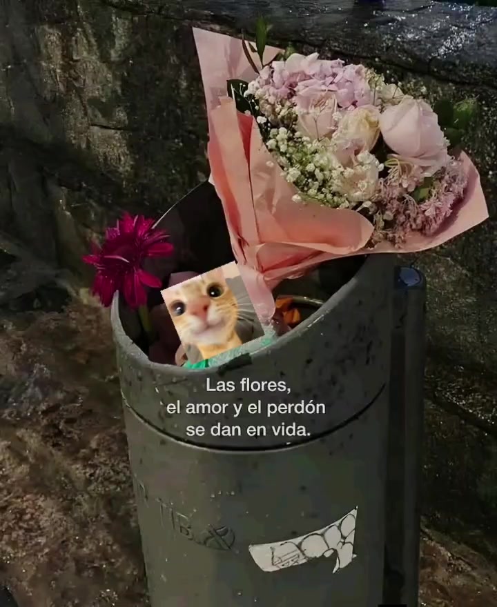 @Nicol