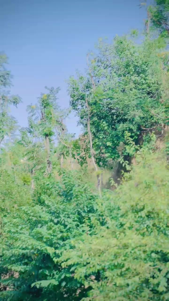 @🇲 🇦 🇱 🇮 🇰 ♡︎ 🇬🇧