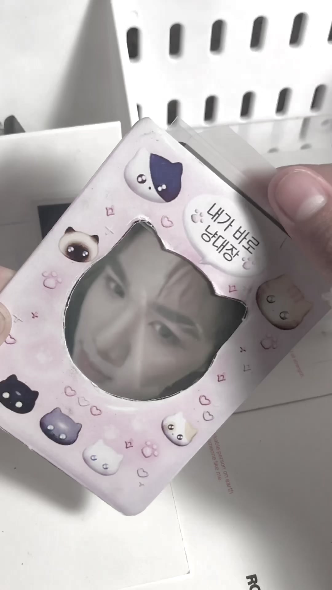 @cat win˙⋆✮