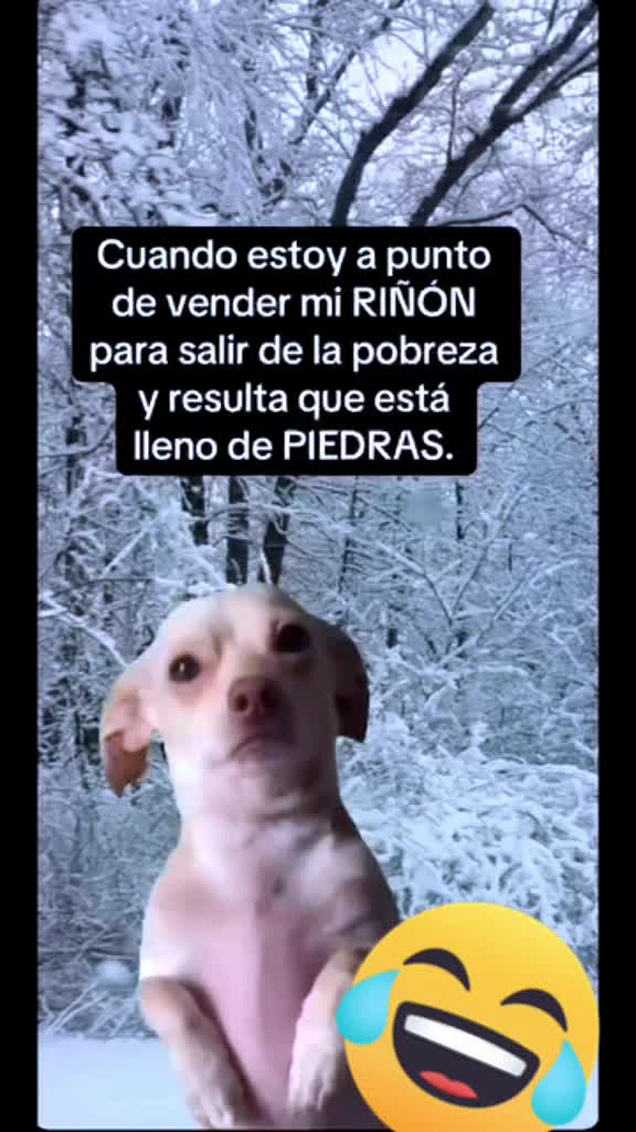 @LA VIDA ES UNA NOTA - SIGUEME