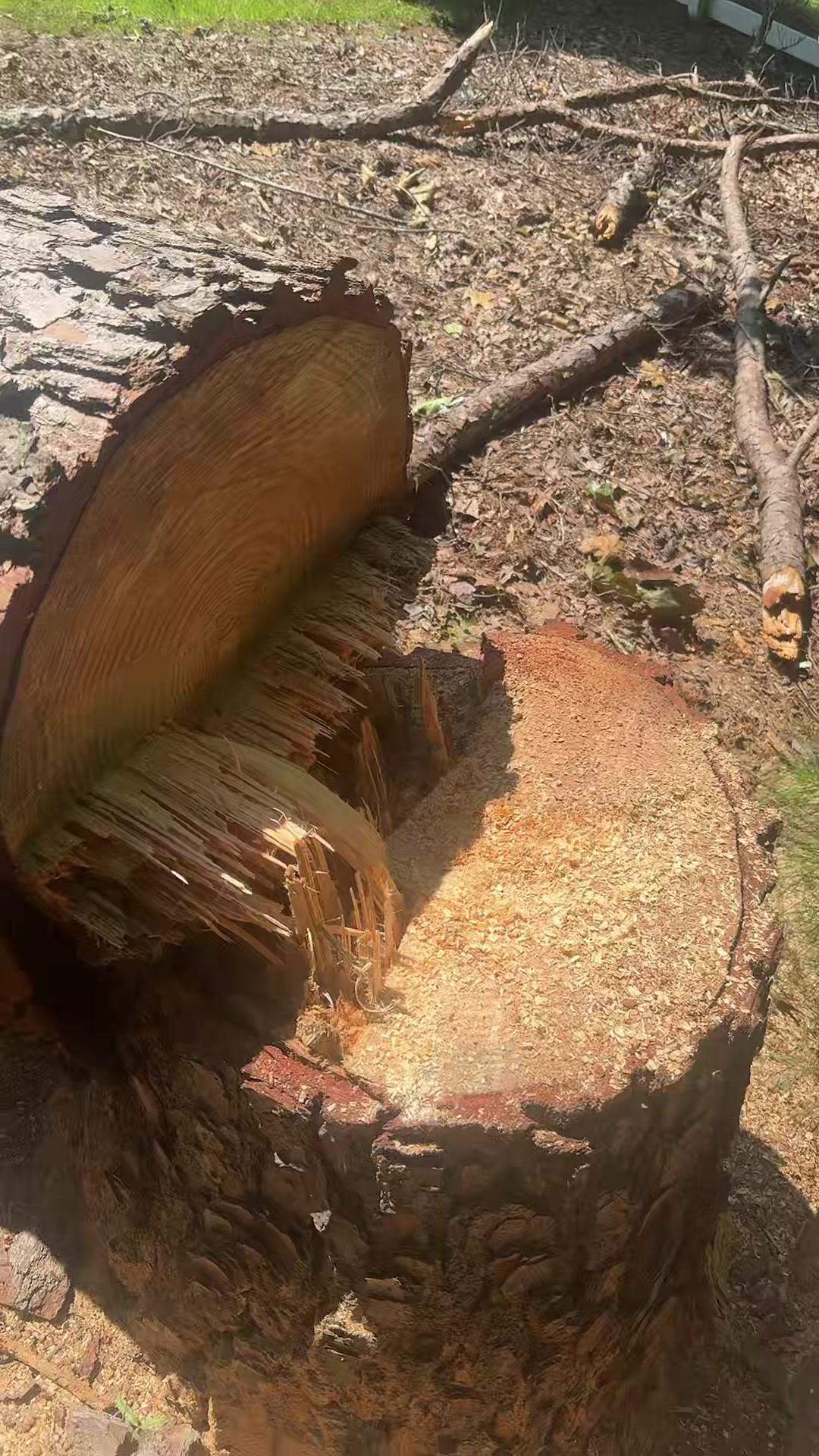 @FIDELMAR TREE CARE LLC