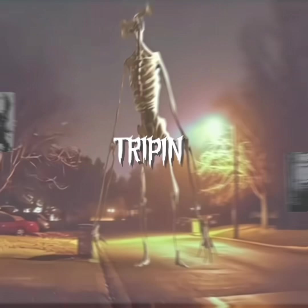 @bryce.trip1n