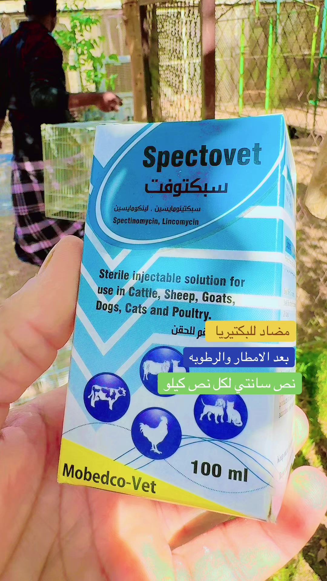 @نوادر الدجاج الزينه