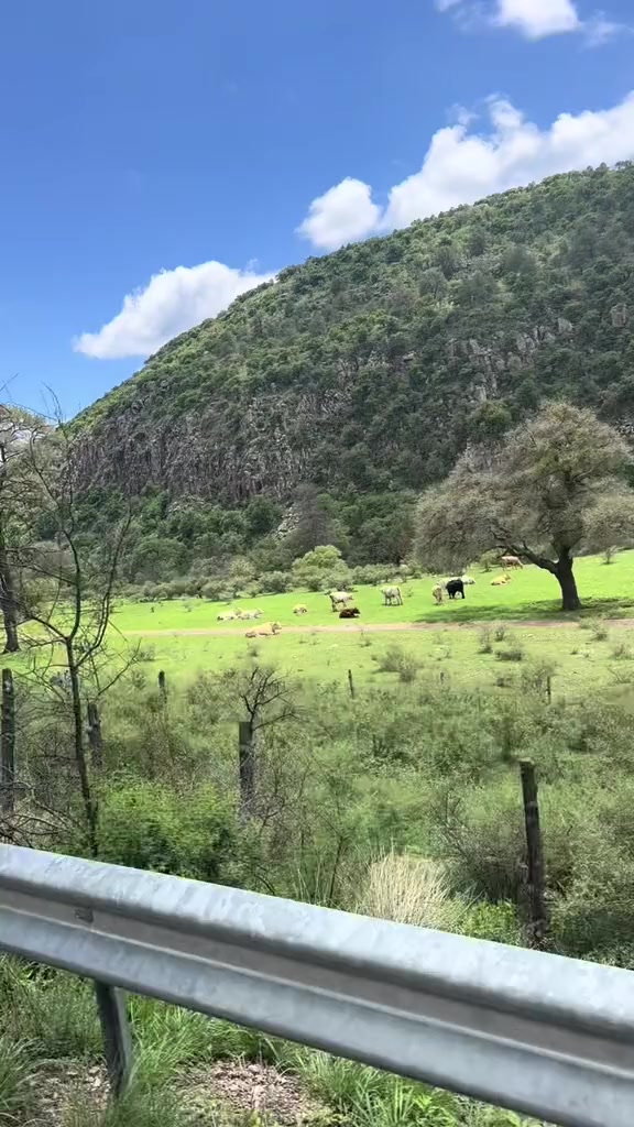 @Arelí 👑🌳🪵🧩