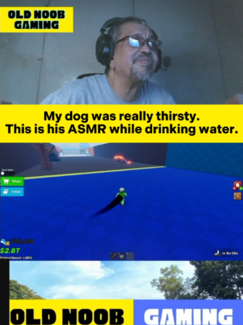 @oldnoobgaming