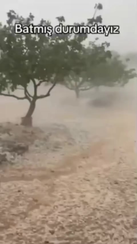 @Serdar kılıç
