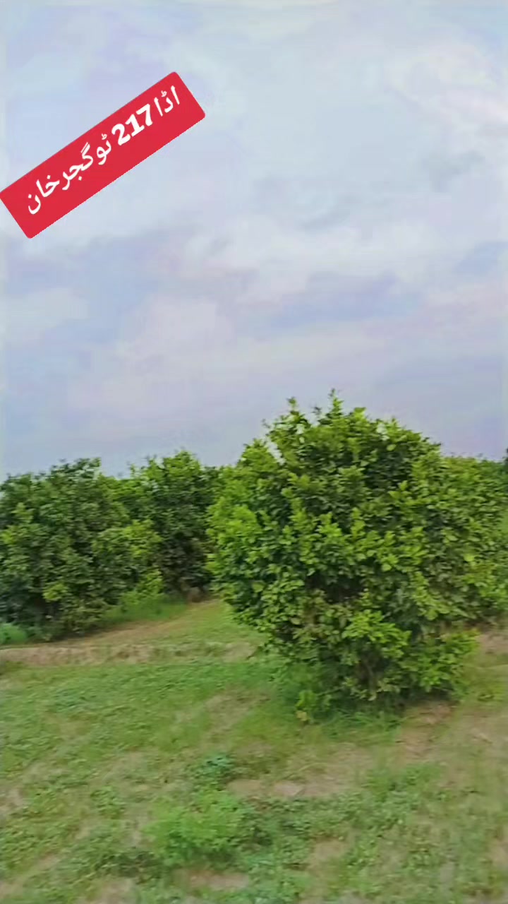 @🔥✨💯AbRar NiHalka🫀🌹