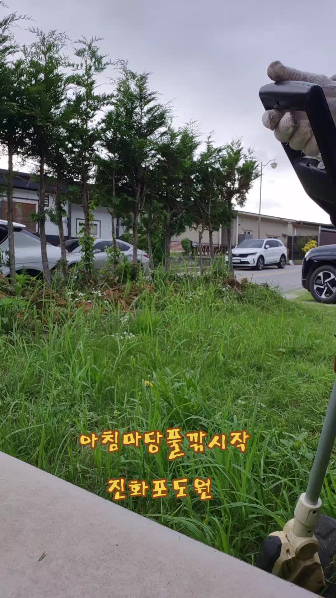 @진화포도원