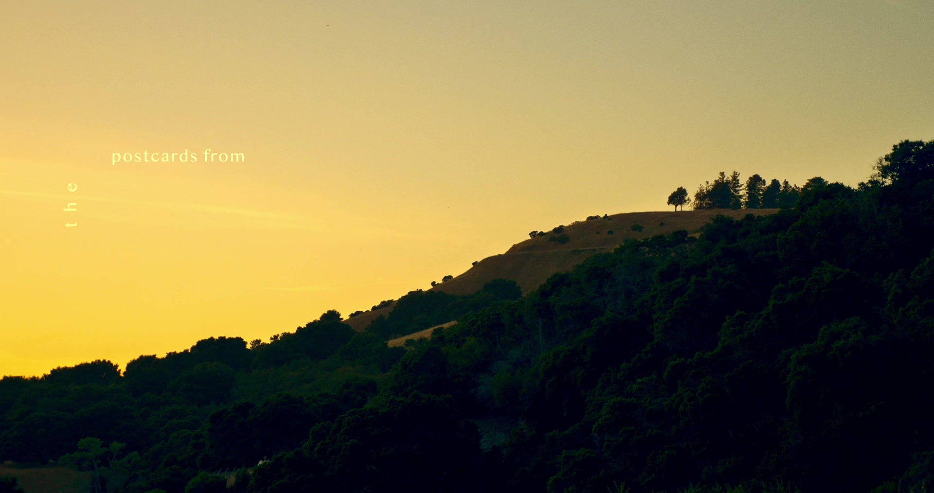 @Shreyansh Dixit &bull; Filmmaker