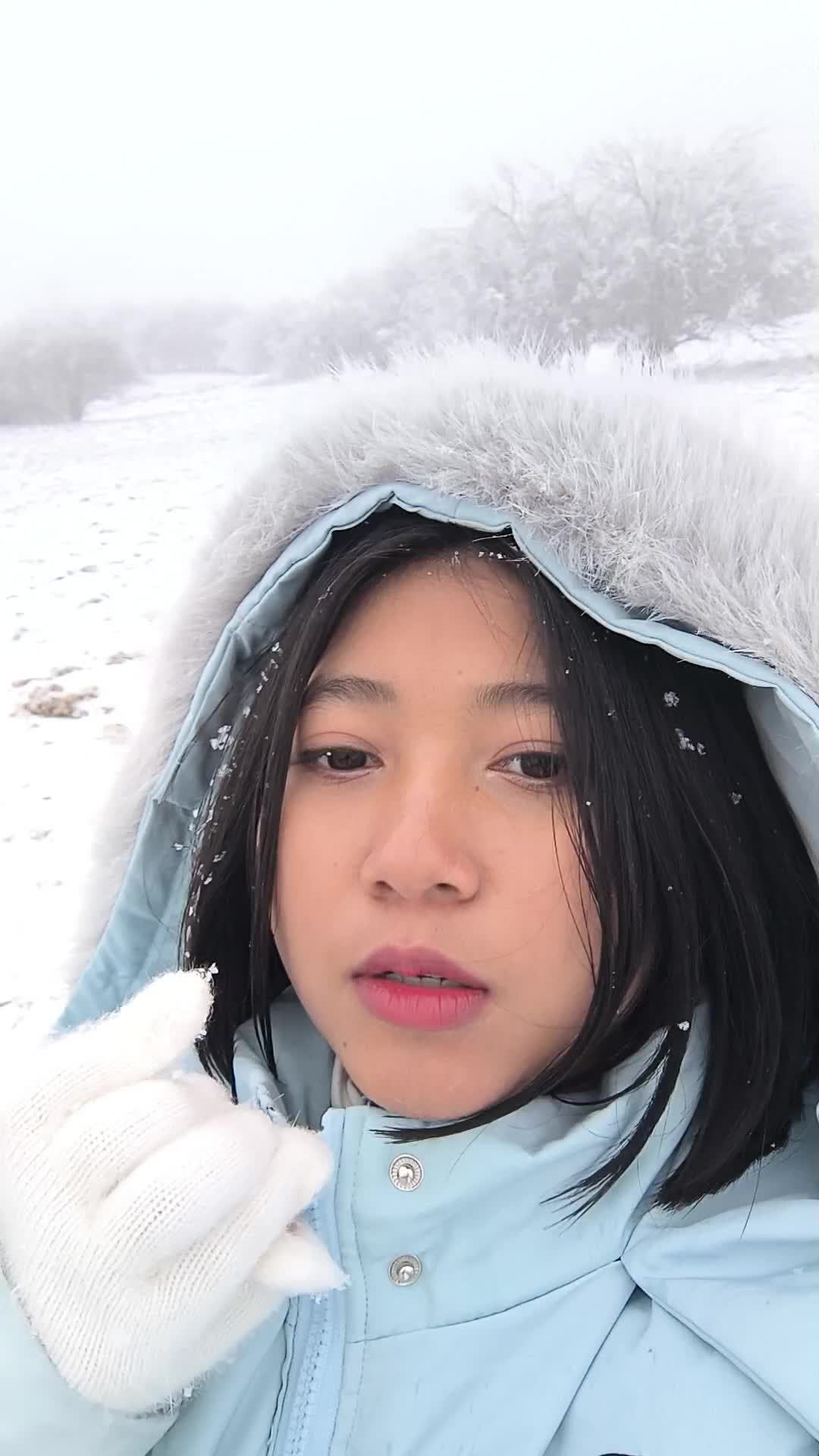 @小橘 🍊