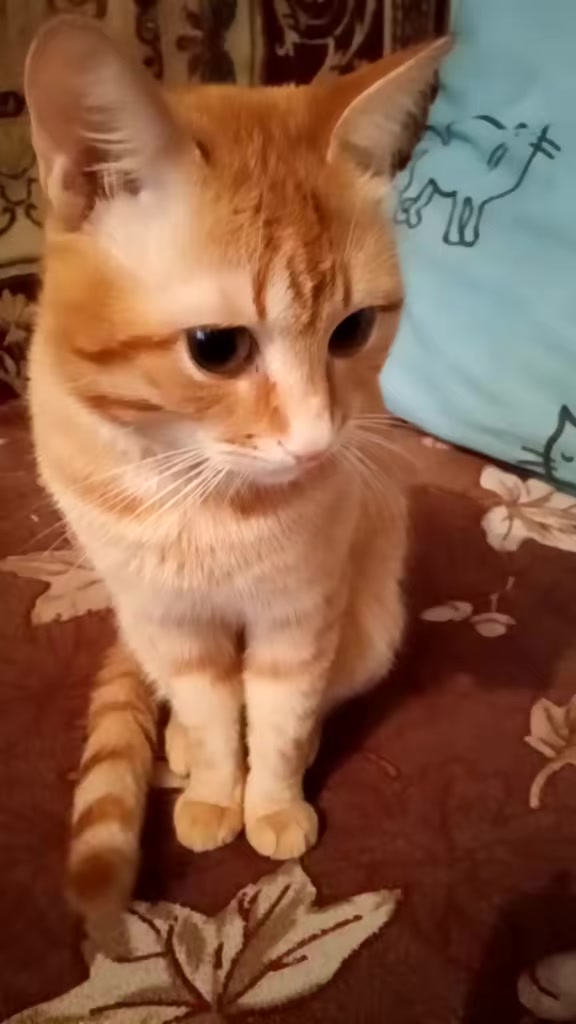 @Olya_1961