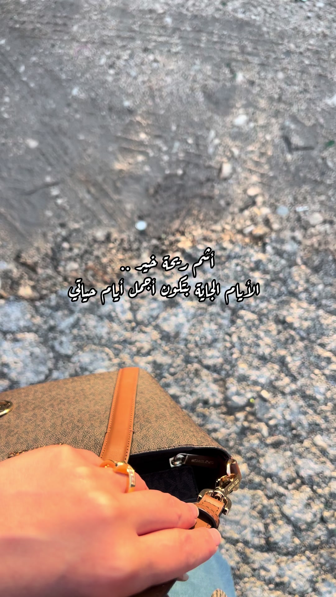 @༊෴✿سہارة✿〄