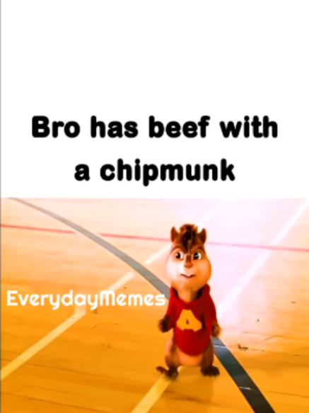 @EverydayMemes