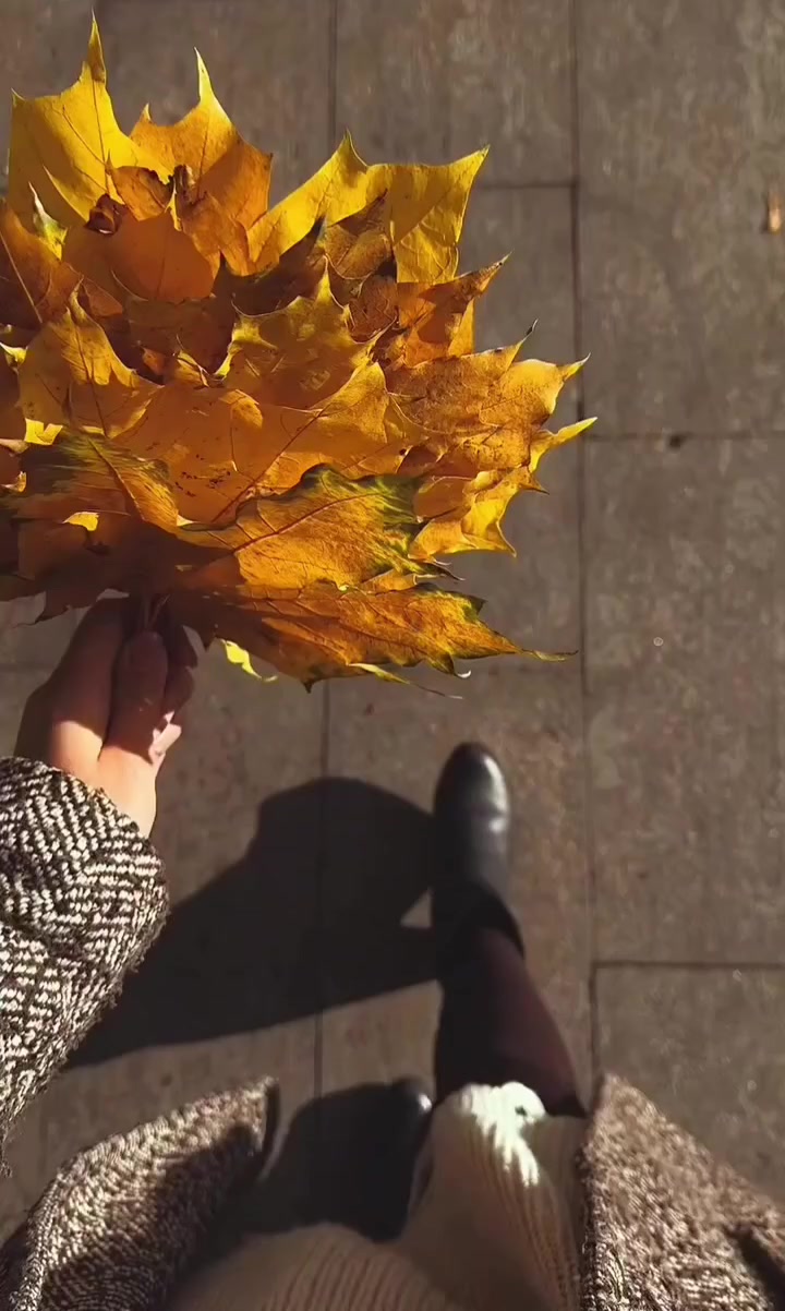 @🇰🇿🌺🌸Нᴀᴛᴀᴧья🌸Kz.16_ukg👋🤝