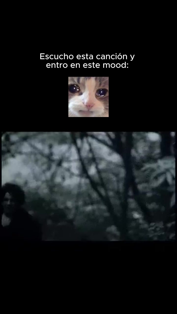@Universal Music Centroamérica